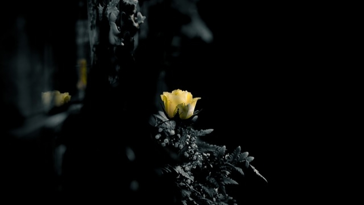 cemetery-2140402_640